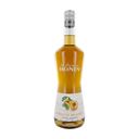 Monin Apricot - Venus Wine & Spirit