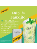 Picture of Schweppes Soda Water 24 x 150ml
