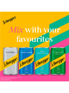 Picture of Schweppes Canada Dry Ginger Ale 24 x 150ml