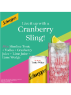 Picture of Schweppes Slimline Tonic Water 24 x 150ml