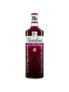 Picture of Gordon's Sloe Gin 26% vol 70cl
