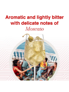 Picture of MARTINI AMBRATO 75CL