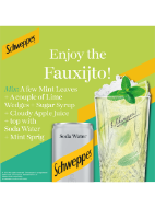 Picture of Schweppes Soda Water 150ml