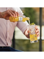 Picture of The London Essence Co. Roasted Pineapple Crafted Soda 200ml
