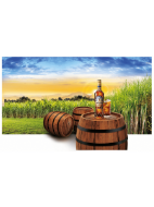 Picture of Brugal Añejo Superior Rum 70cl