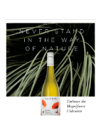 Picture of Yalumba Organic Viognier 750ml