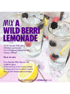 Picture of Absolut Wild Berri Berry Flavoured Vodka 700ml