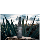 Picture of Casamigos Mezcal Joven Tequila 70cl