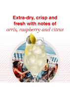 Picture of MARTINI Extra Dry Vermouth Aperitivo, 75cl