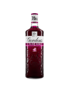 Picture of Gordon's Sloe Gin 26% vol 70cl