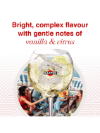 Picture of MARTINI Bianco Vermouth Aperitivo, 75cl