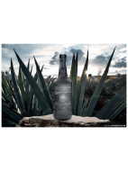 Picture of Casamigos Mezcal Joven Tequila 70cl