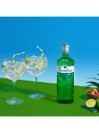 Picture of Gordon's Alcohol Free Spirit 0% vol 70cl