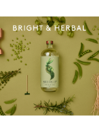 Picture of Seedlip Garden 108 Non-Alcoholic Spirit 0% vol 70cl